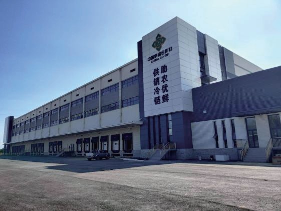 廣東供銷臺(tái)山天業(yè)冷鏈項(xiàng)目制冷工程 